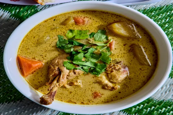 Vietnamese Style Chicken Curry Soup